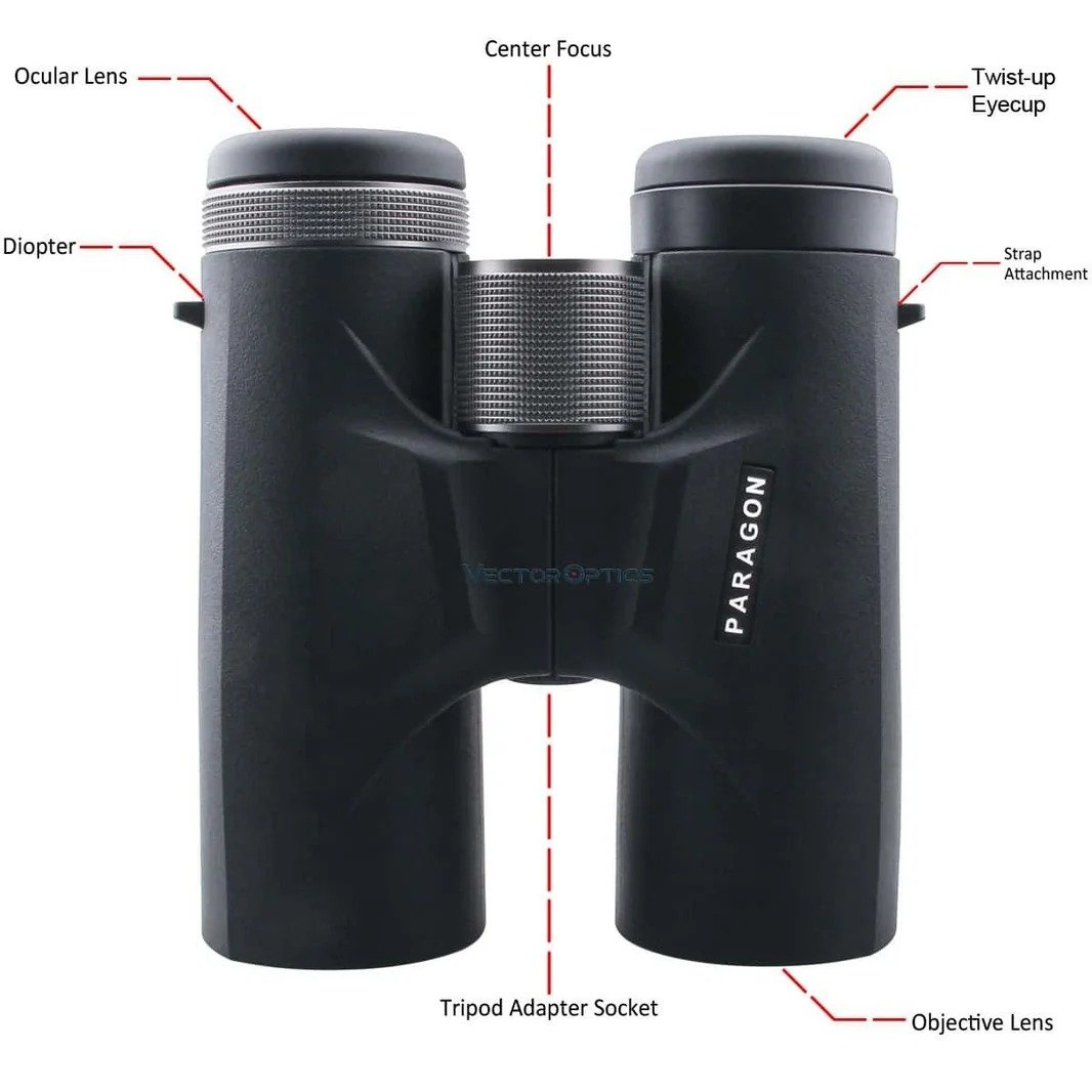 Paragon 10x42 binocular fully multi-coated optical lenses